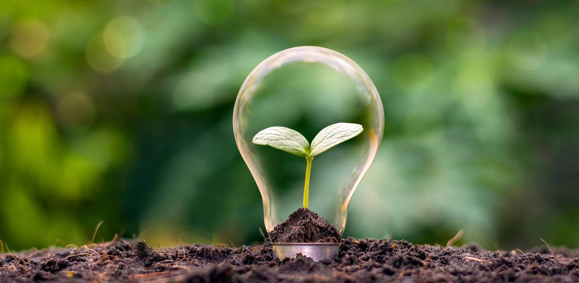 Sustainability in the Logistics Industry